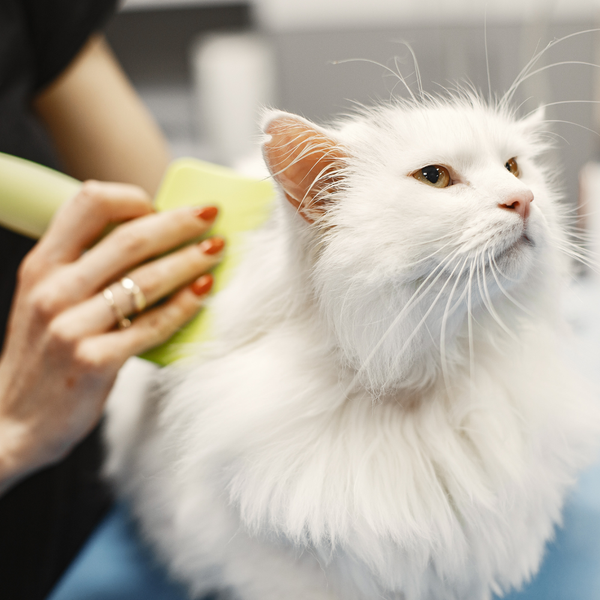 Grooming Supplies