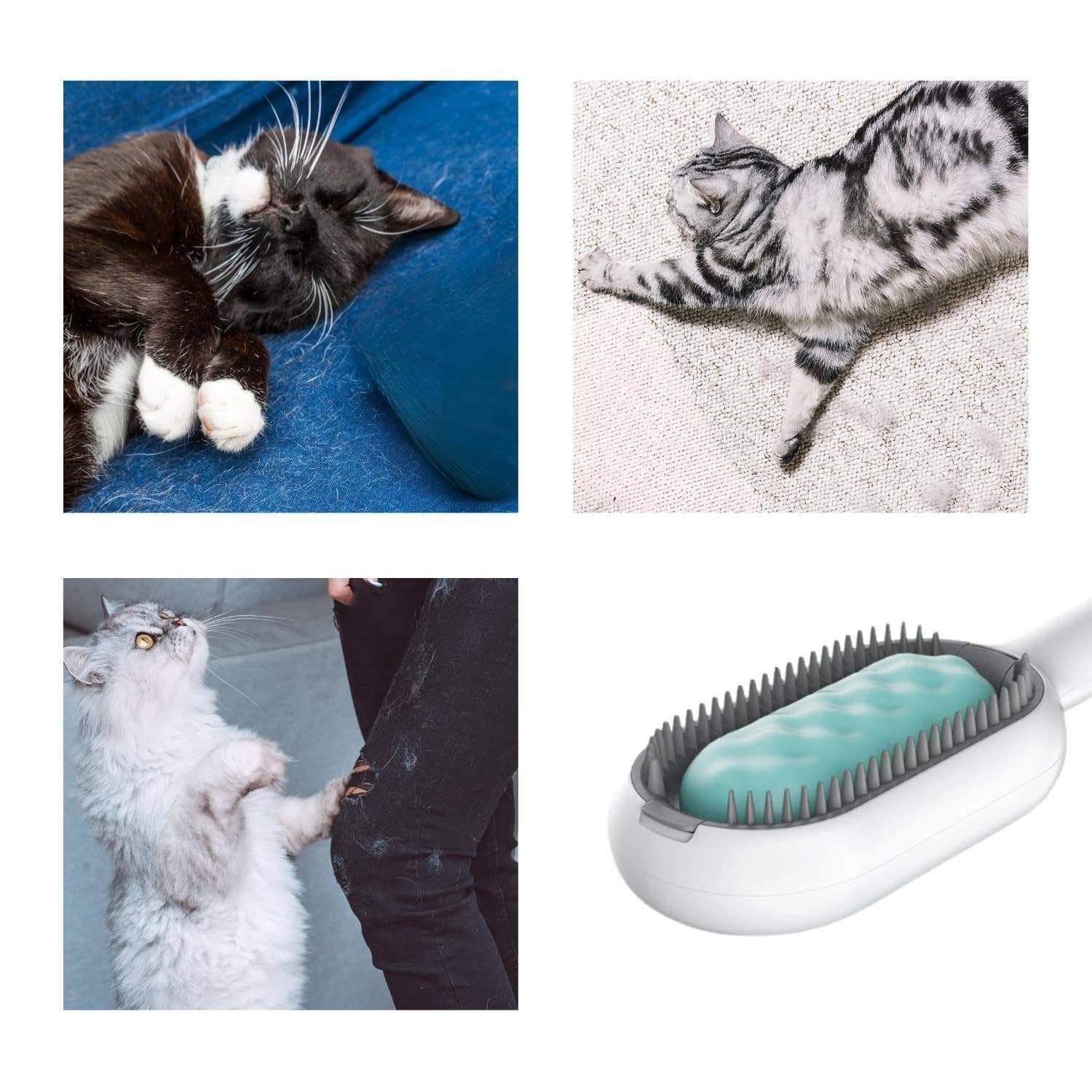 4 In 1 Cat Grooming Brush With Water Tank