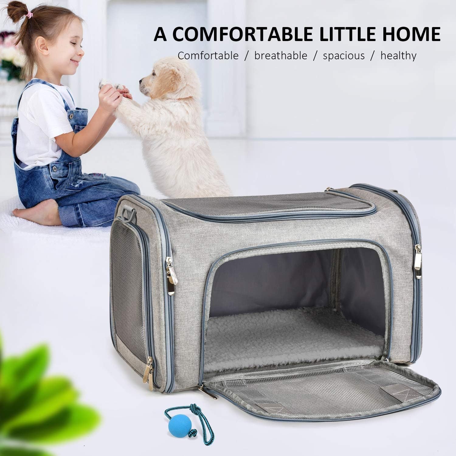 Soft Sided Collapsible Dog Cat Carrier for Pets Up