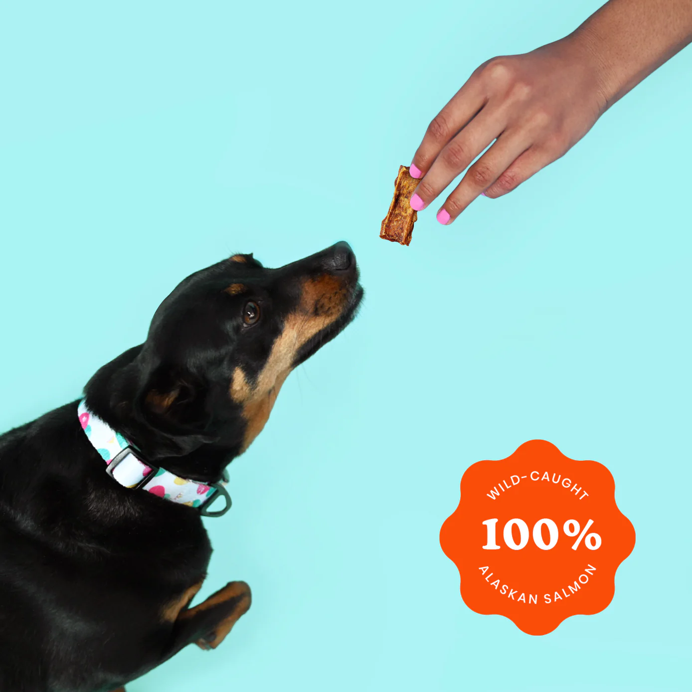 Pet Palace Crunchy Jerky Dog Treats - Snappin' Salmon Treats (4 oz)