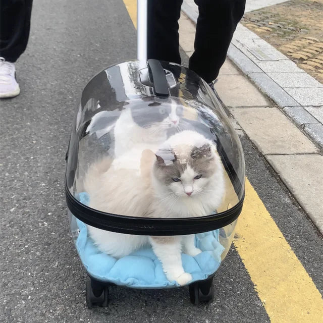 Transparent Capsule Pet Travel Carrier Trolley Stroller with Wheels