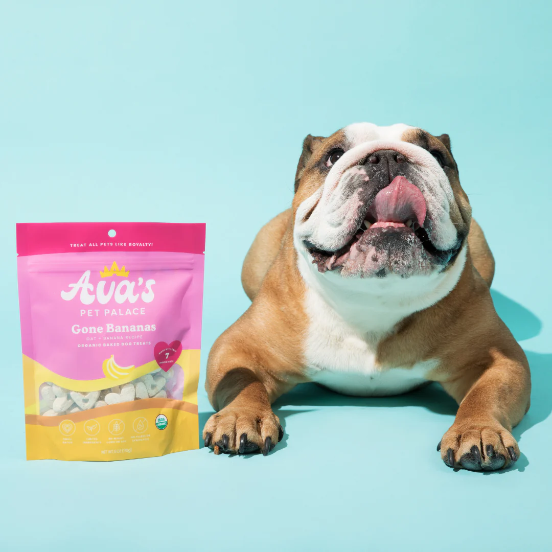 Pet Palace Organic Gone Bananas Oven Baked Dog Treats