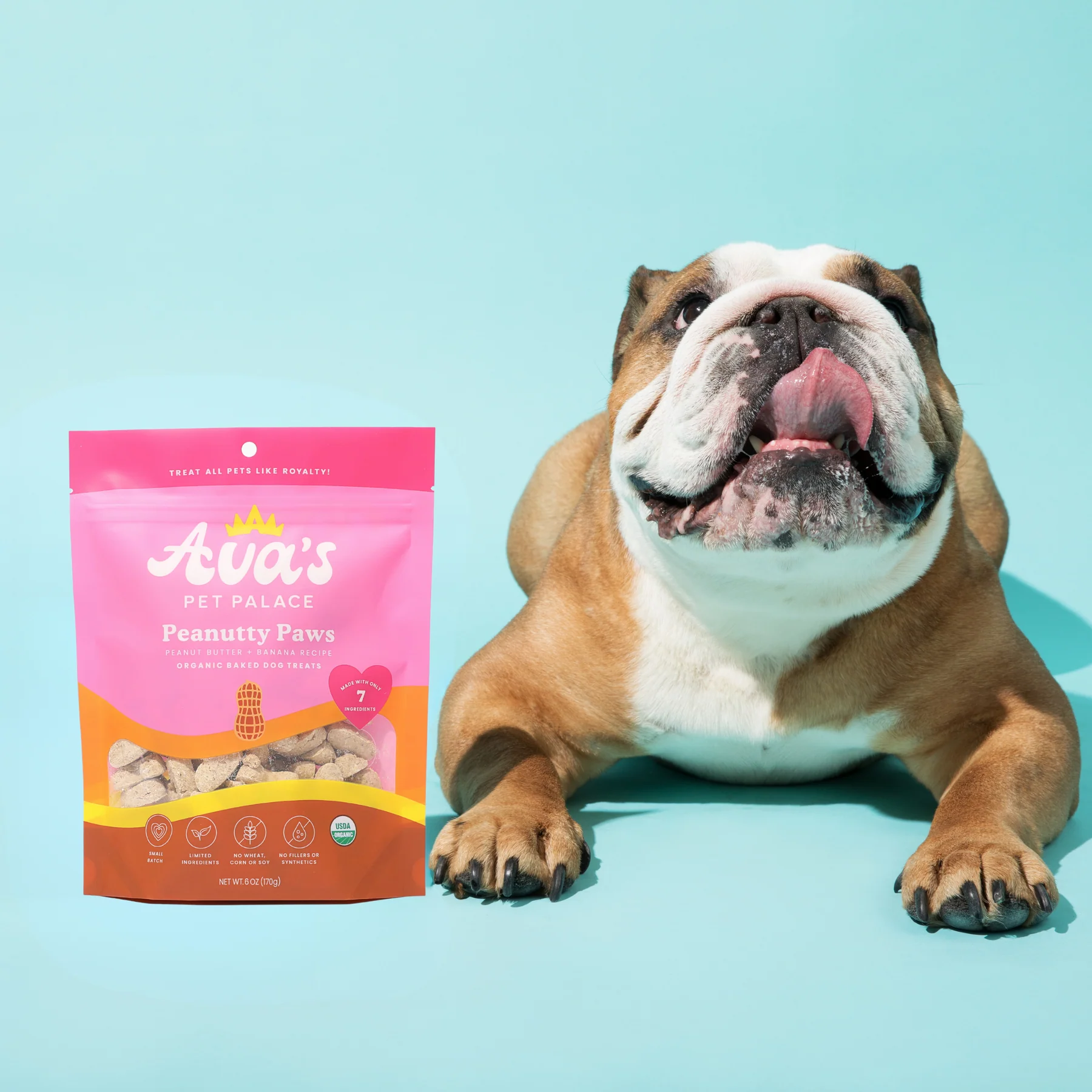 Pet Palace Organic Peanutty Paws Oven Baked Dog Treats
