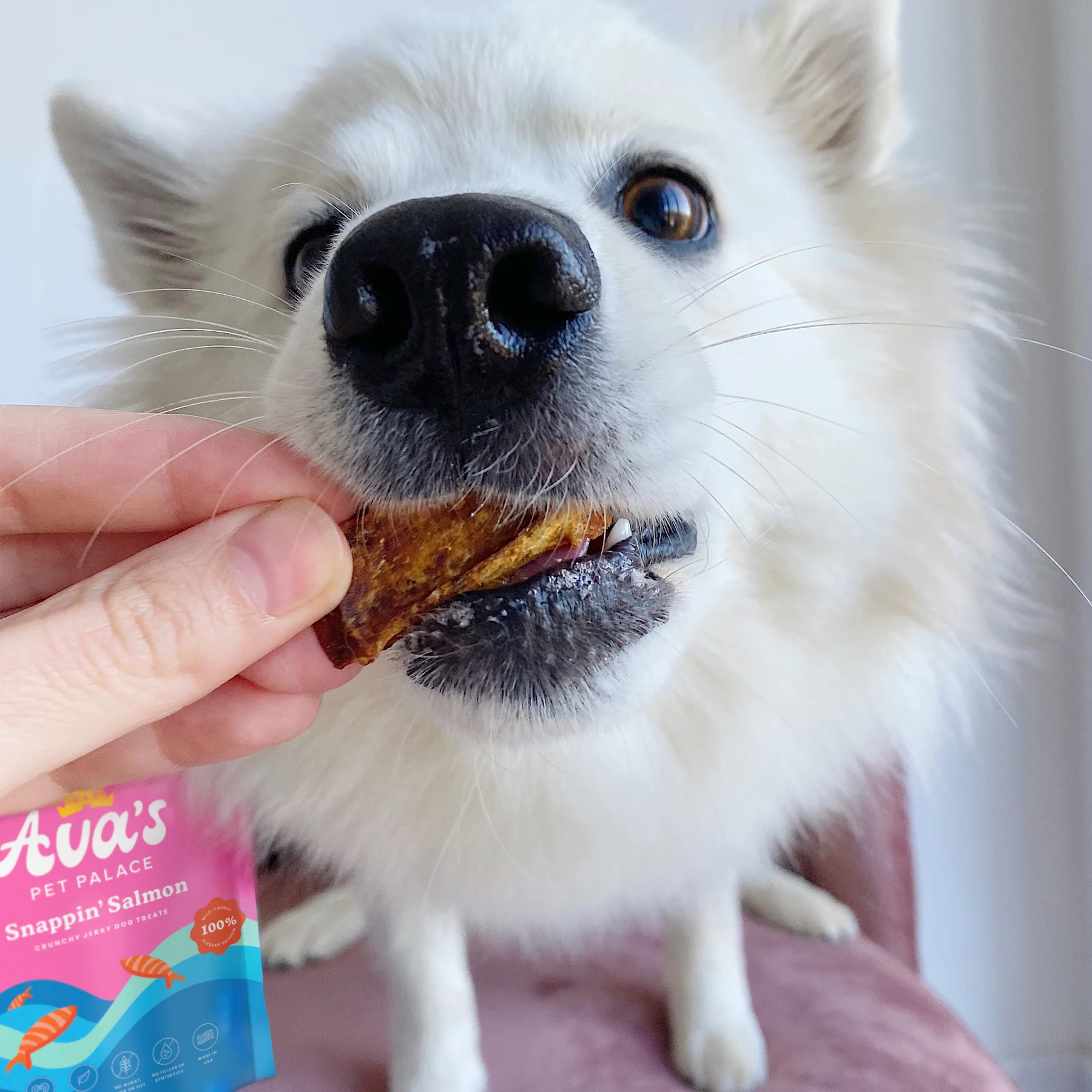 Pet Palace Crunchy Jerky Dog Treats - Snappin' Salmon Treats (4 oz)