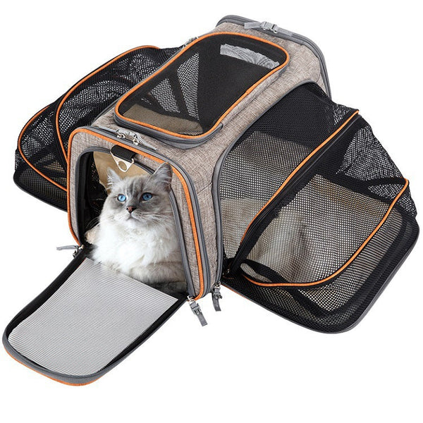 Airline Approved Expandable Pet Carrier Foldable Travel Bag Reflective