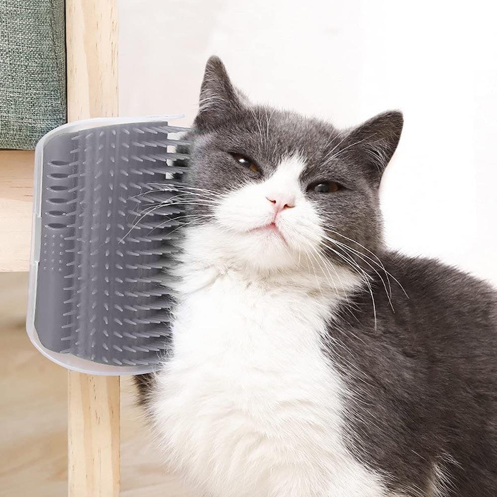 Self Groomer Cat Brush Wall Mounted Massager Interactive Cat Toy